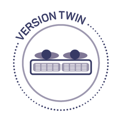 duvivier version twin logo