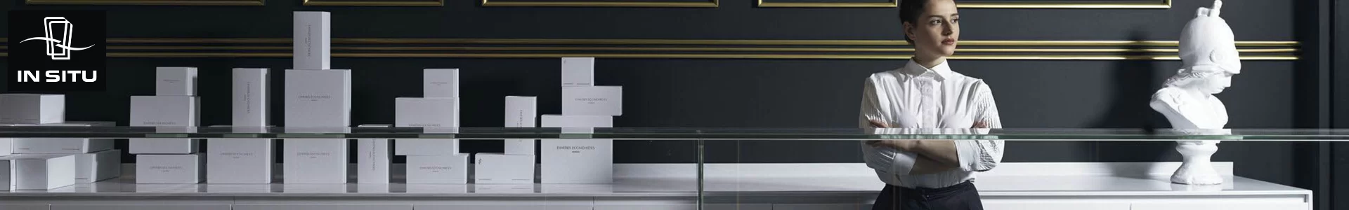 IN SITU
