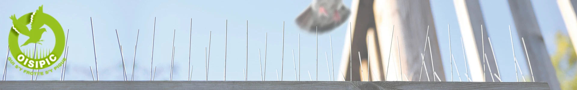 Home Jardin Solutions