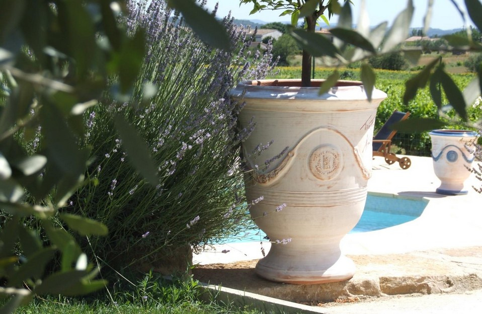Vase en terre cuite : comment le nettoyer et l'entretenir ?