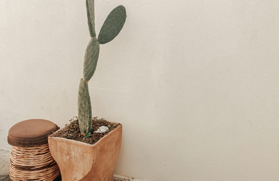 Quel vase choisir pour sa déco de jardin ? 12 idées tendance 2024