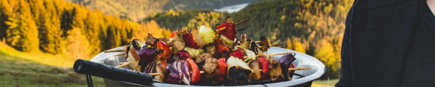 Barbecue ou plancha : lequel choisir ? Faites le bon choix !